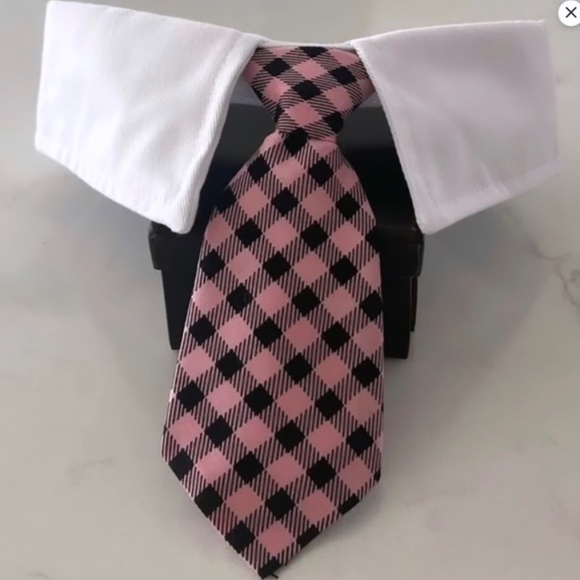 Calling all POSH Pups! Cute dress-up Party necktie costume for dogs - Picture 2 of 6